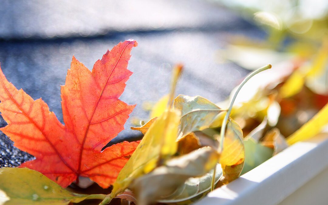 Roof Maintenance: Top 4 Ways You Can Prepare Your Roof For Fall